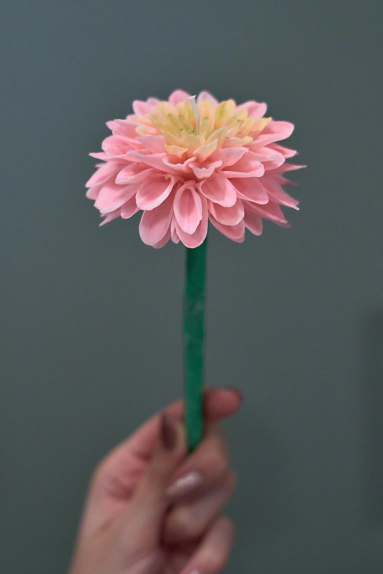 Dahlia Candle on Stem or Bud 2