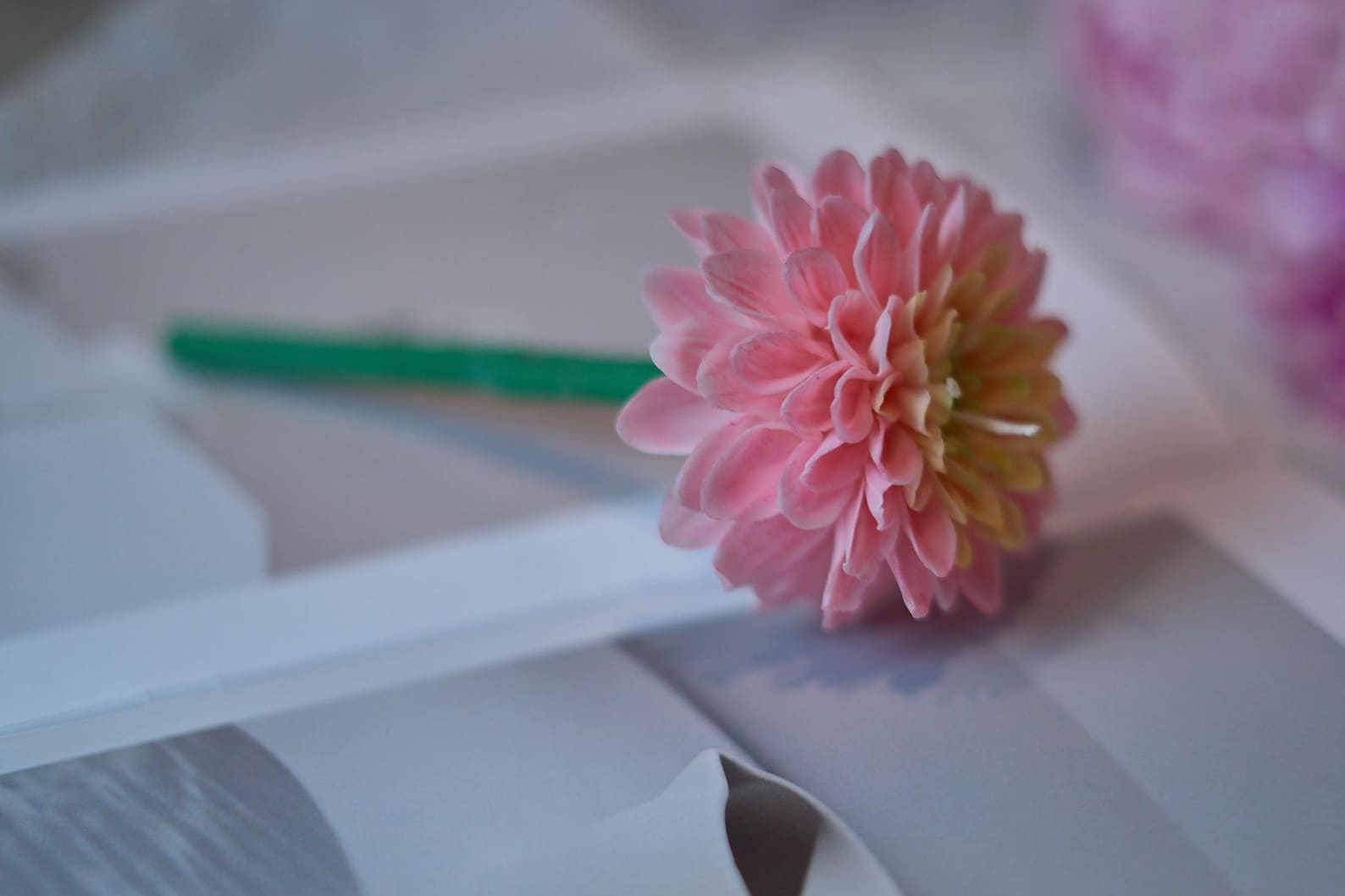 Dahlia Candle on Stem or Bud 3
