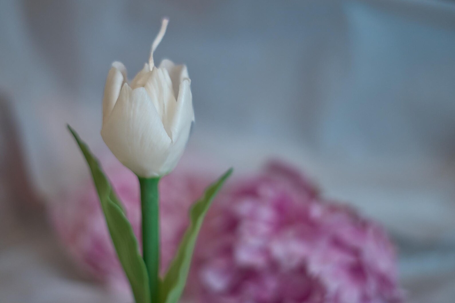 Luxury Tulip Candle 2