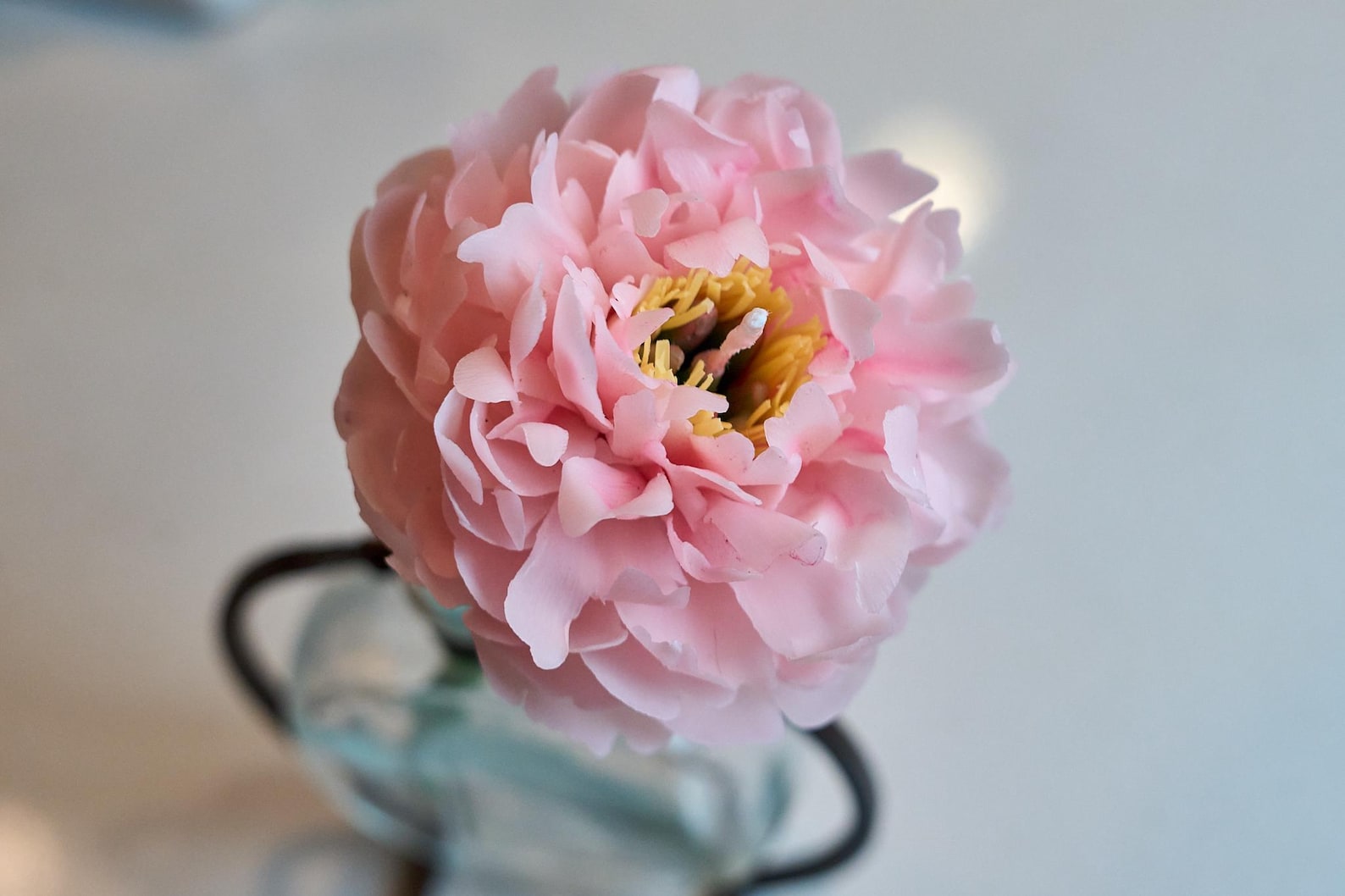 Realistic Pink Peony Candle